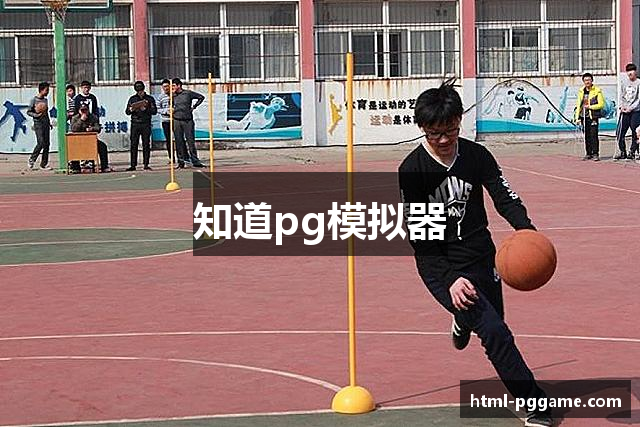 知道pg模拟器